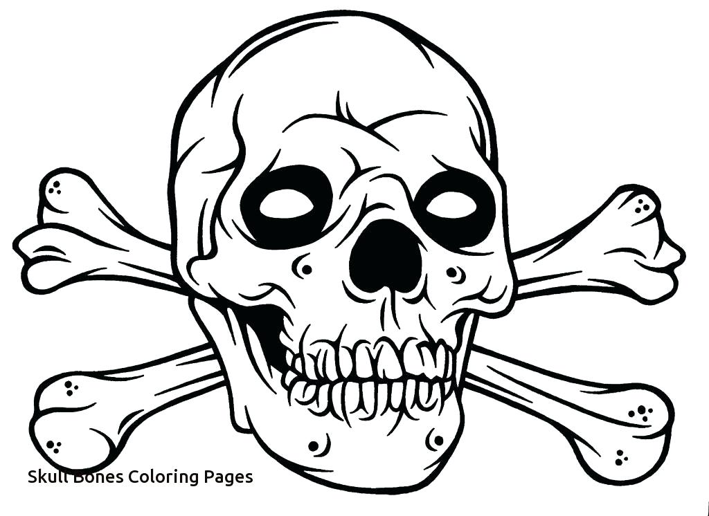 1024x746 Skull And Crossbones Coloring Pages Skull And Bones Coloring Pages
