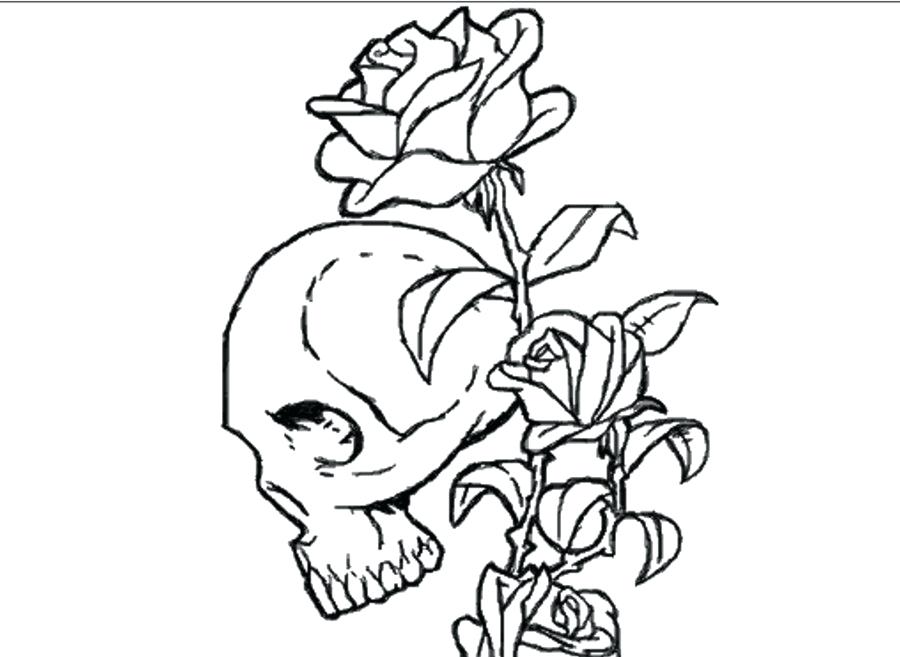 900x657 Skulls And Roses Coloring Pages Coloring Pages Skull Sugar Skull