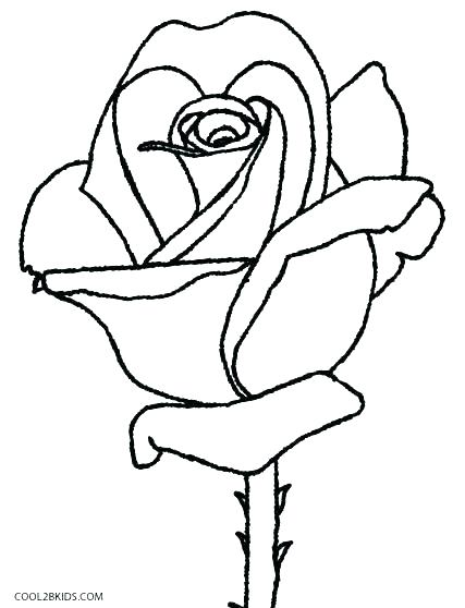 427x558 Coloring Pages Of Roses Coloring Pages Of Roses Roses Coloring