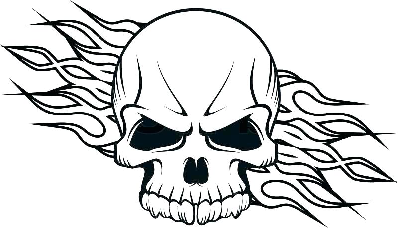800x458 Skull Coloring Pages Anatomy Anatomy Coloring Pages And Worksheets