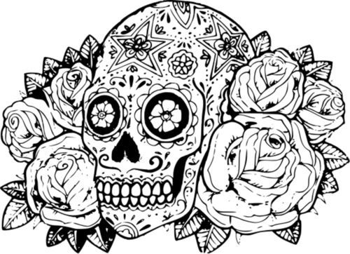 500x362 70 Best Sugar Skulls Images On Coloring Books