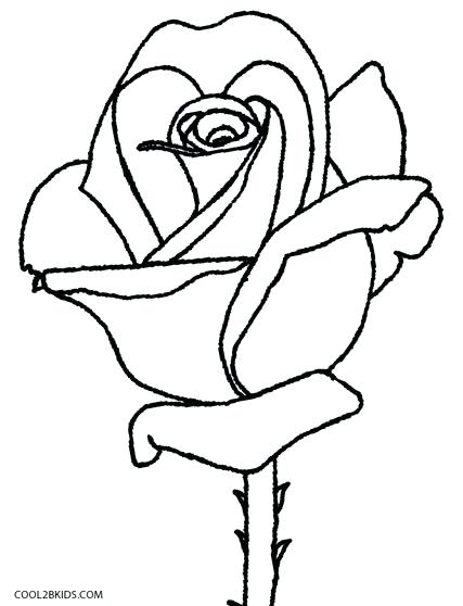 427x558 Coloring Pages Of Skulls And Roses