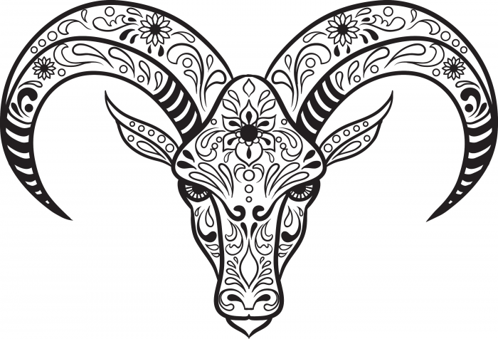 700x476 Sugar Skull Animal Coloring Pages