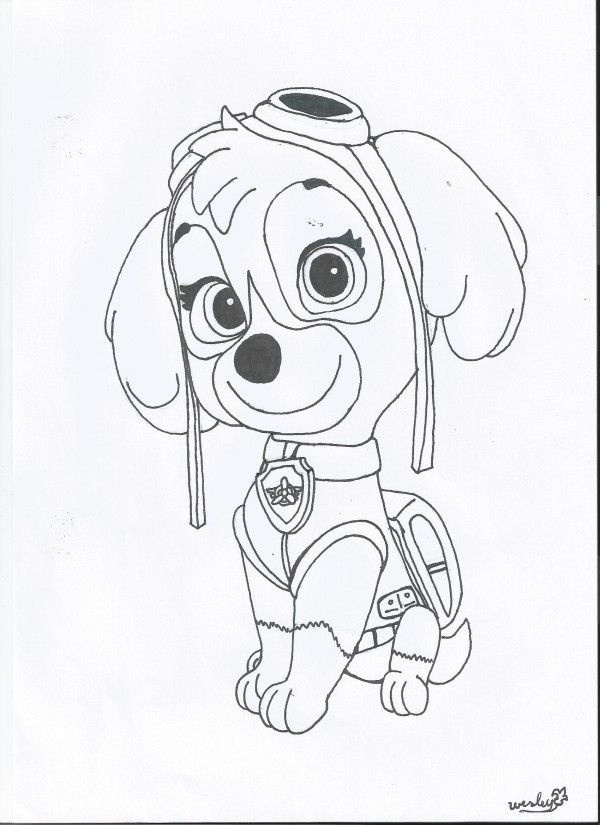 Skye Paw Patrol Coloring Pages