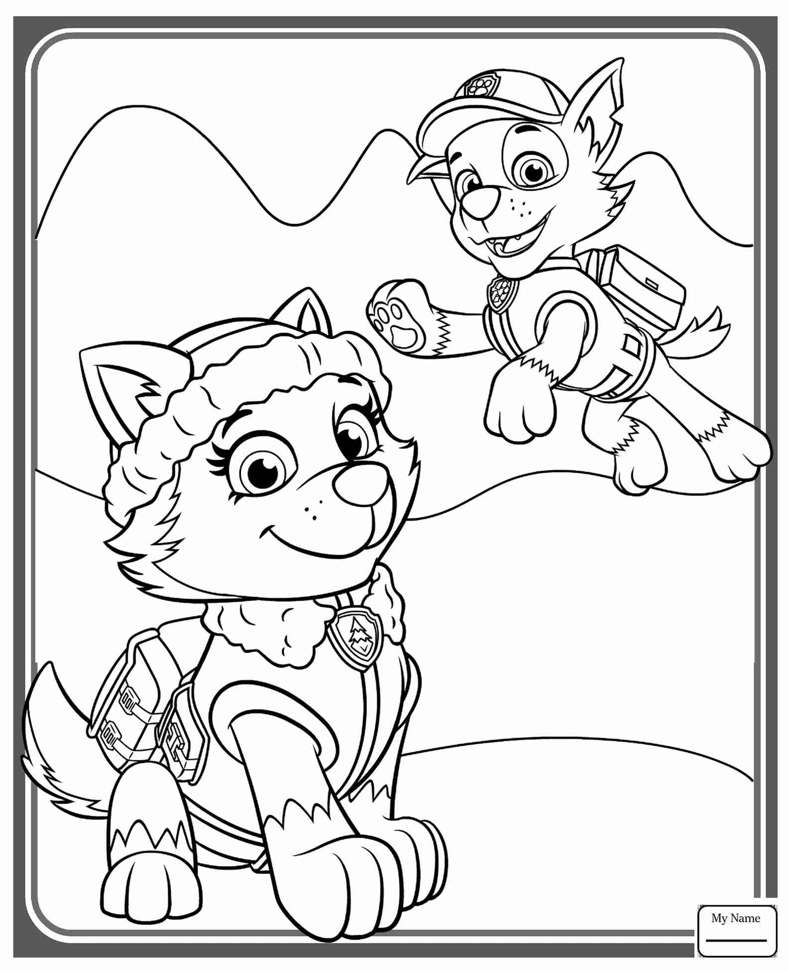 1585x1950 Paw Patrol Coloring Pages Drawing Skye