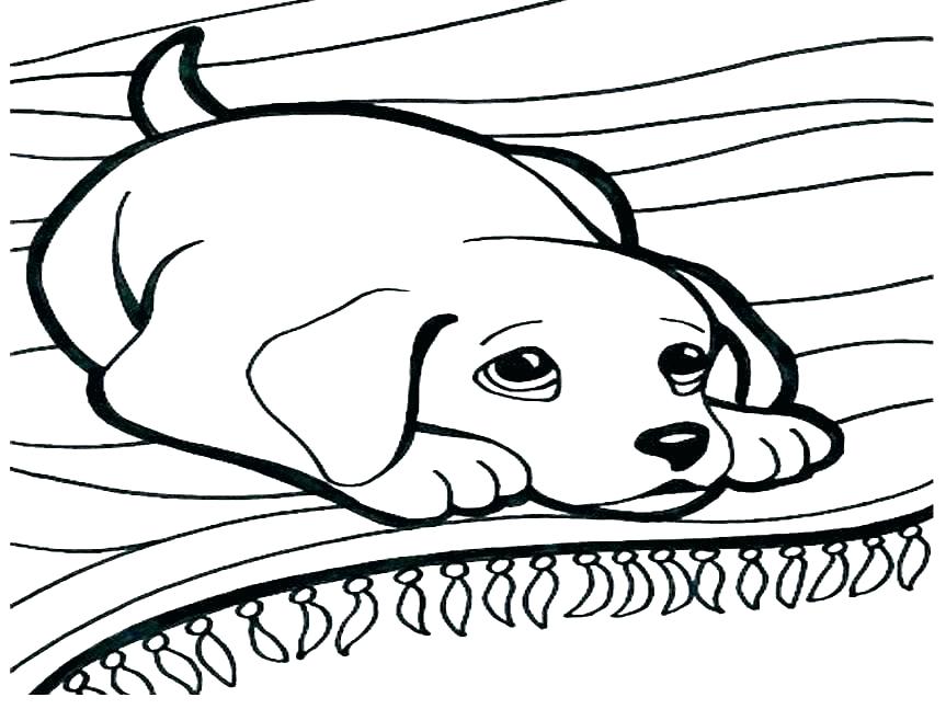 863x647 Coloring Page Of Dog Impressive Decoration Coloring Pages Of Dogs