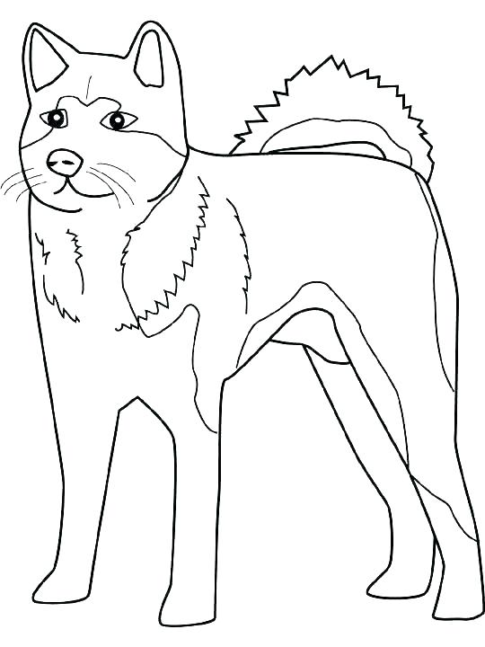 540x720 Dog Sled Coloring Pages