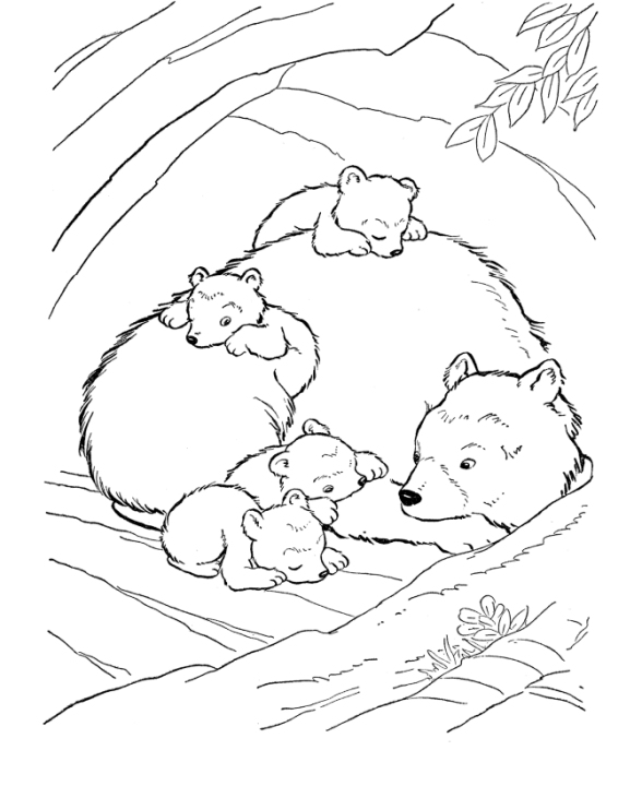 Sleeping Bear Coloring Page