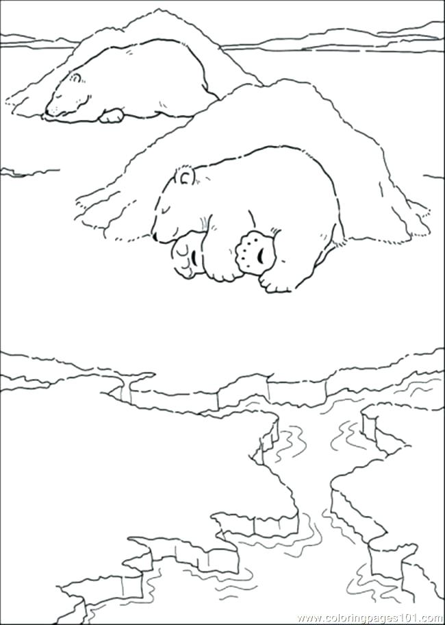650x912 Sleeping Bear Coloring Page Animals That Hibernate Bear Cave