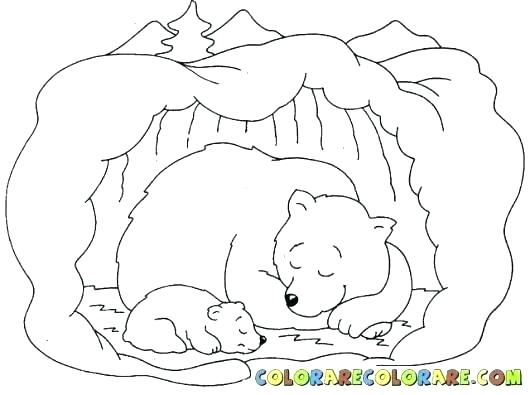 530x395 Coloring Pages Bear Coloring Page Bear Bear Coloring Pages