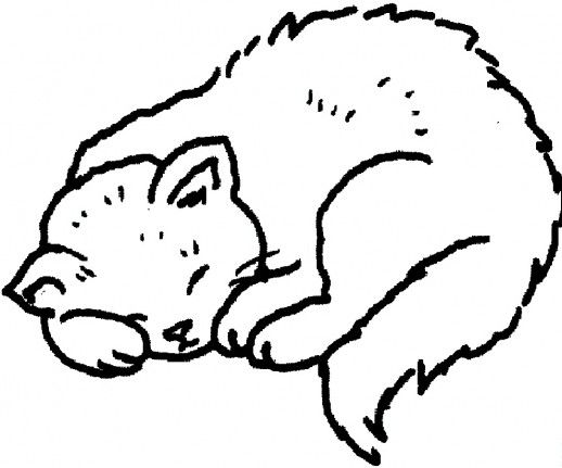 Sleeping Cat Coloring Pages