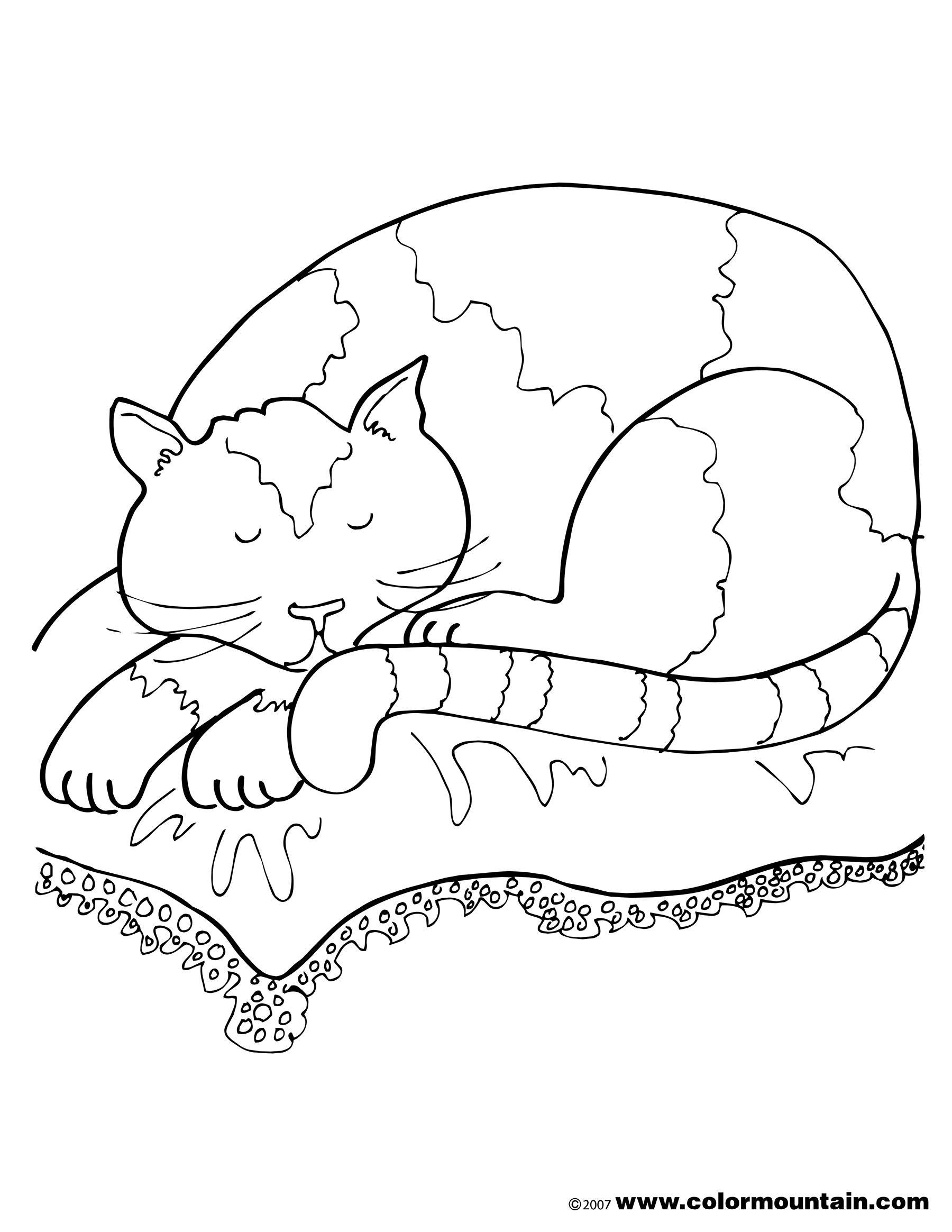 1800x2329 Appealing Nap Coloring Page Image Clipart Grigorg Picture