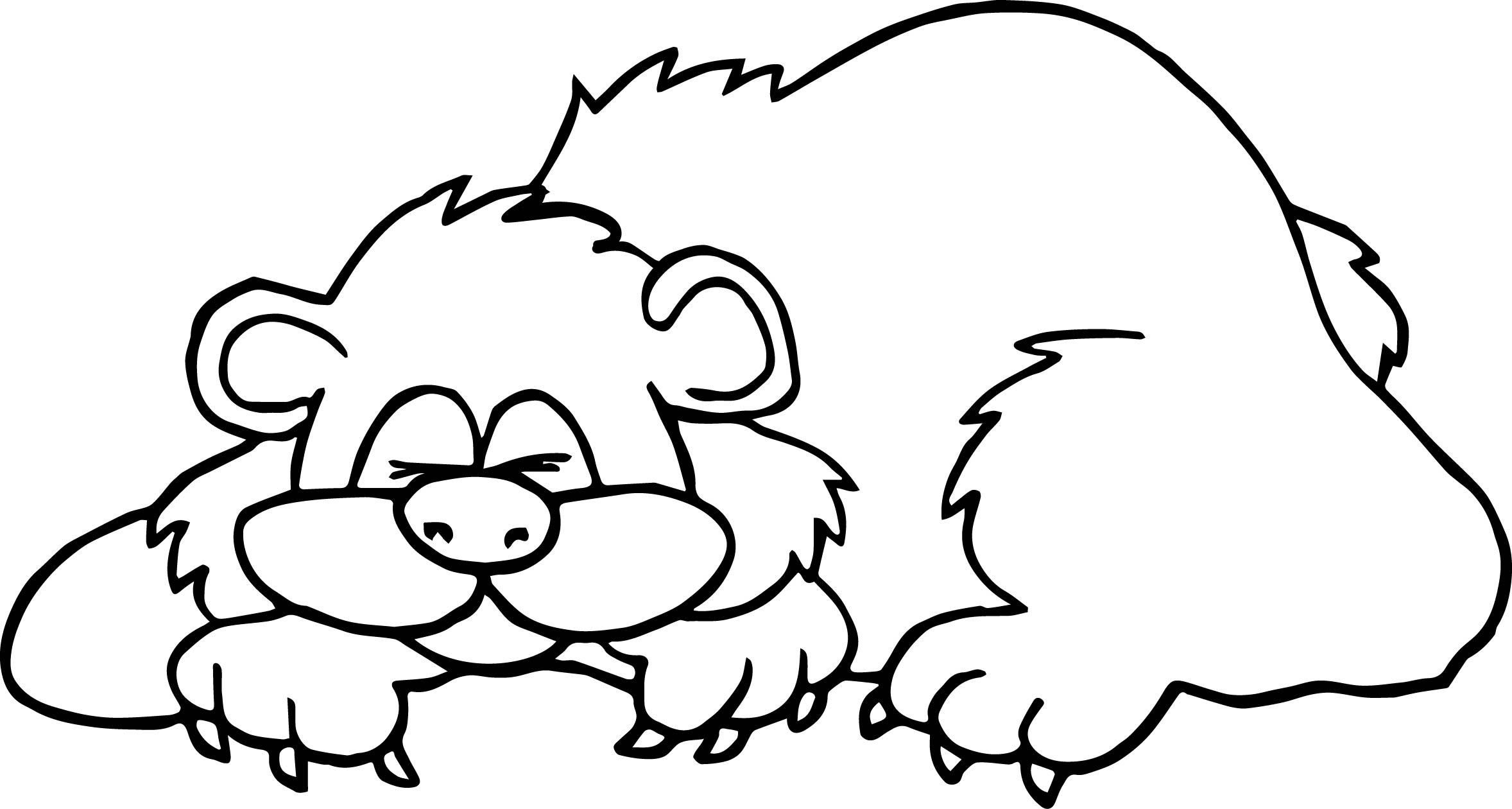 2356x1260 High Tech Sleeping Bear Coloring Page Reliable Hibernating
