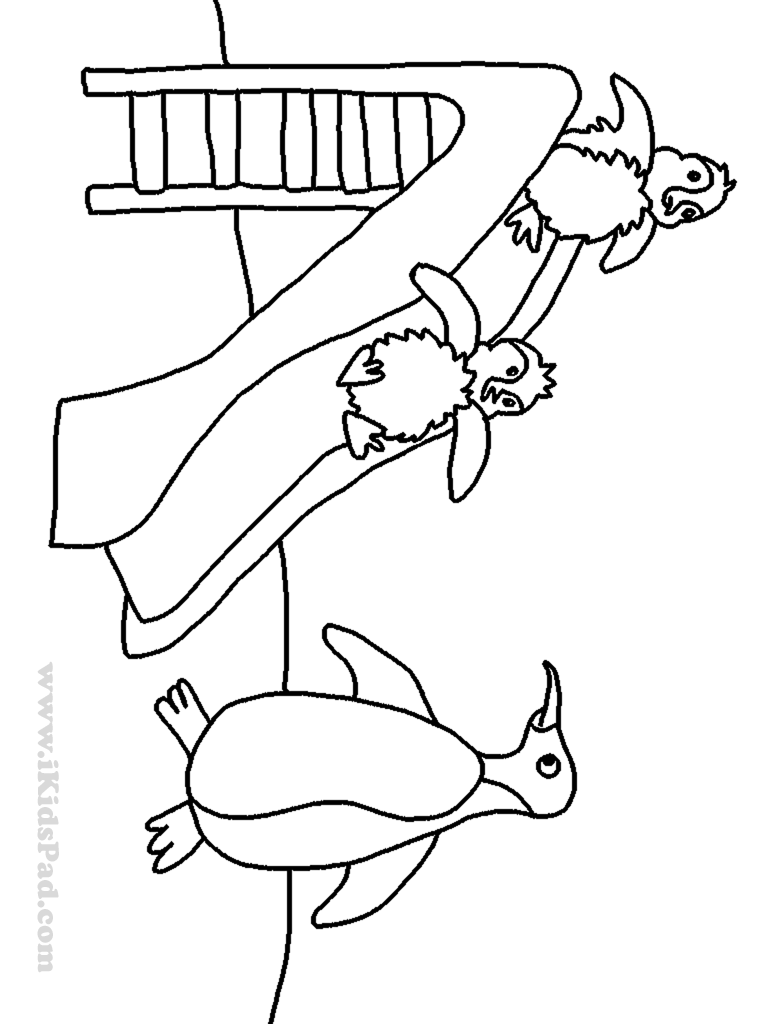 768x1024 Water Slide Coloring Page 286175