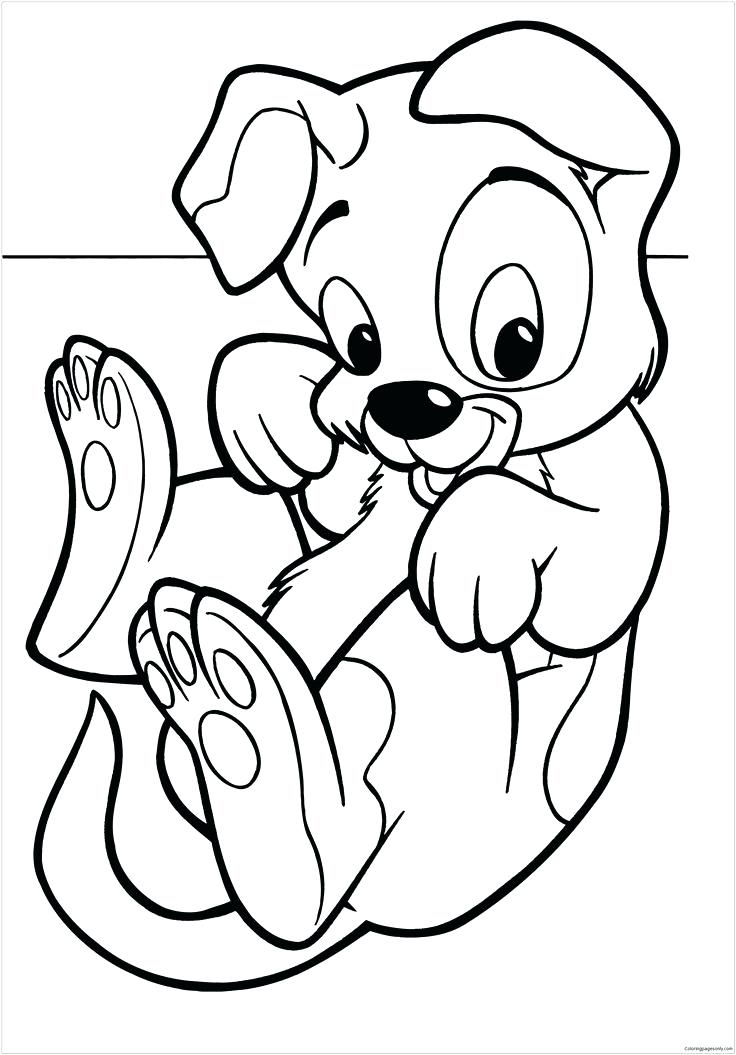 736x1055 Pages A Colorier De Chiots Pages A Baby Dog Learn To Walk