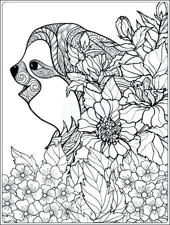 341x450 Sloth Coloring Page Sloth Coloring Pages Coloring Page With Lovely