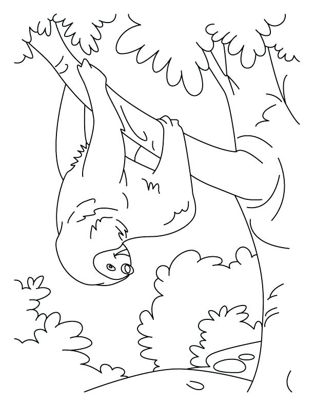612x792 Sloth Coloring Page Tumbling Sloth Coloring Pages Giant Ground