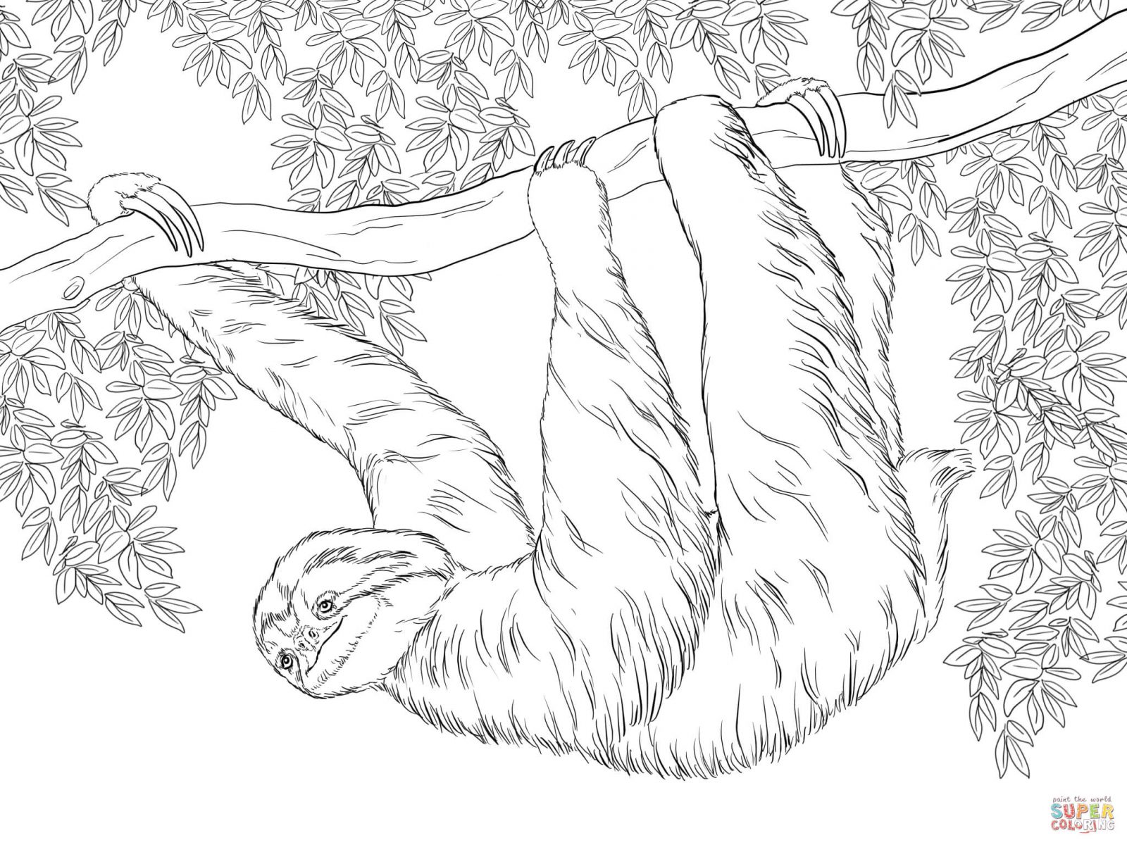 1600x1200 Unique Baby Sloth Coloring Page For Kids Vector Zentangle Print