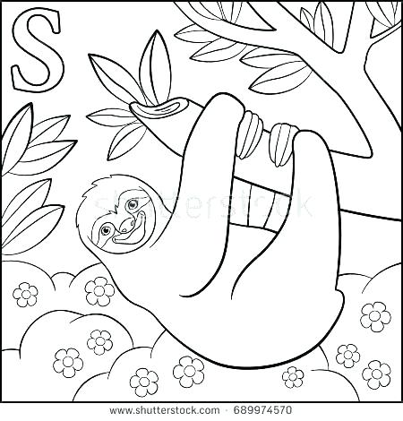 450x470 Sloth Coloring Pages