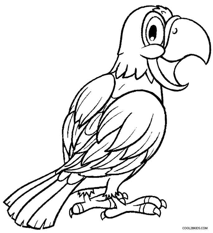 685x750 Printable Parrot Coloring Pages For Kids Cool2bkids