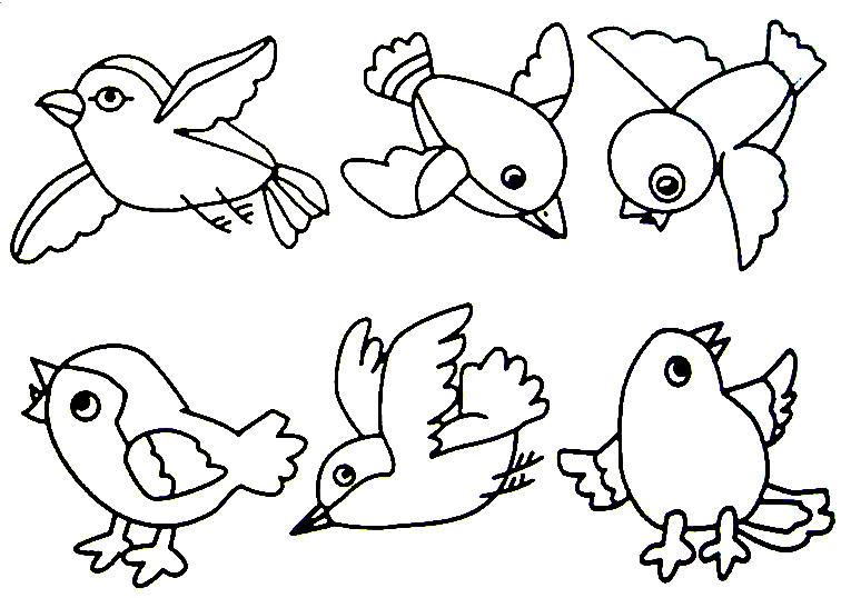 756x538 Bird Coloring Page.jpg Trinity Kidsparents Night Out