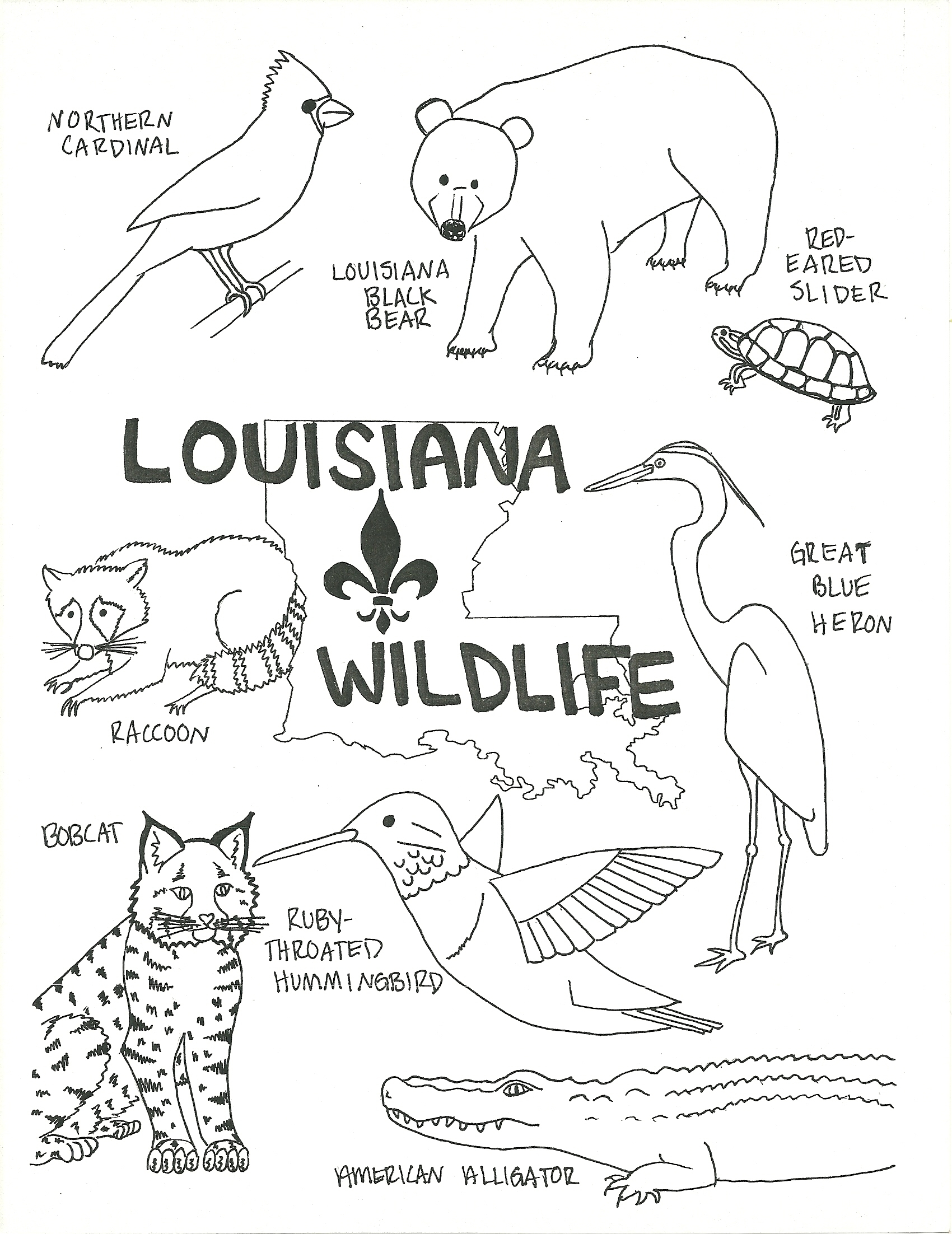 1700x2204 Arizona State Bird Coloring Pages Printable