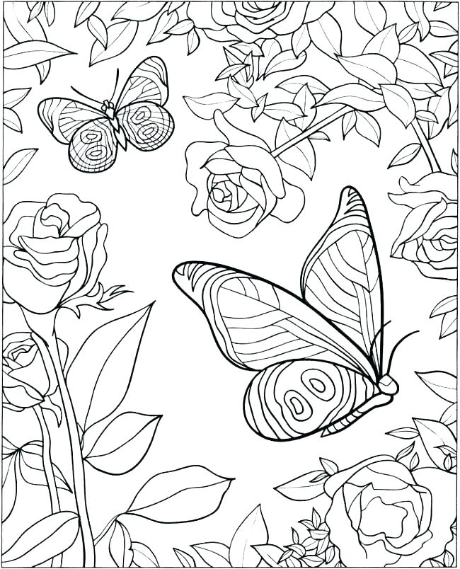 650x804 Easy Butterfly Coloring Pages For Preschoolers Preschool To Tiny
