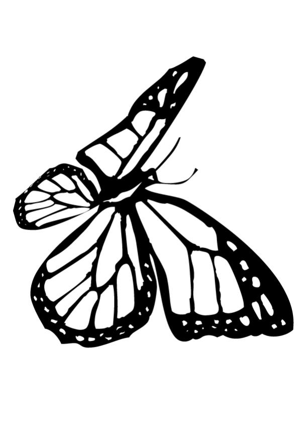 601x850 Small Butterfly Coloring Pages