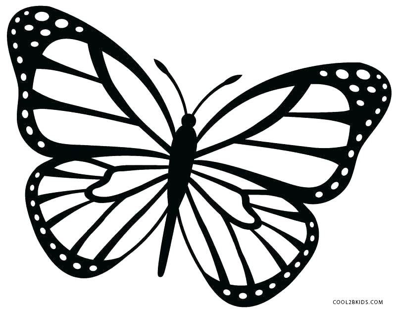 800x628 Butterflies And Flowers Coloring Pages For Adults Kids Coloring