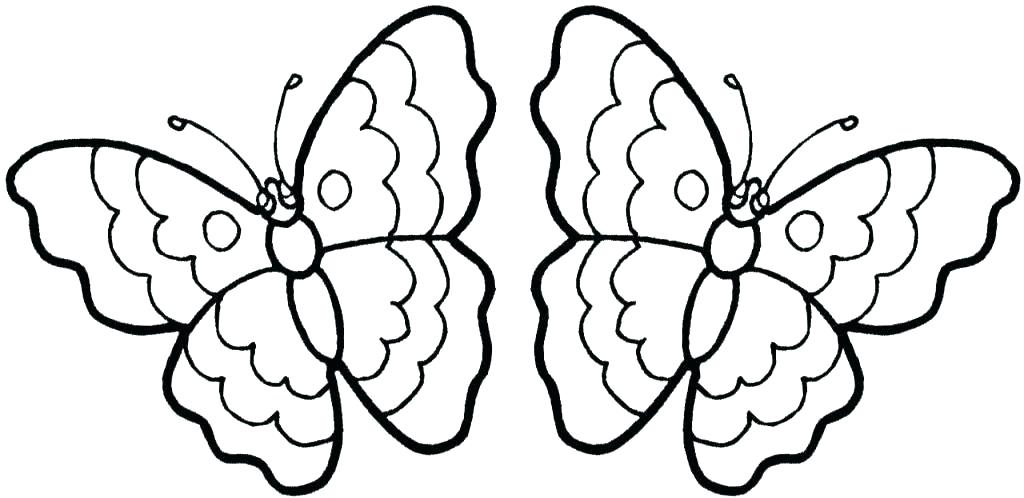 1024x498 Butterfly Coloring Page Printable Butterflies Coloring Pages