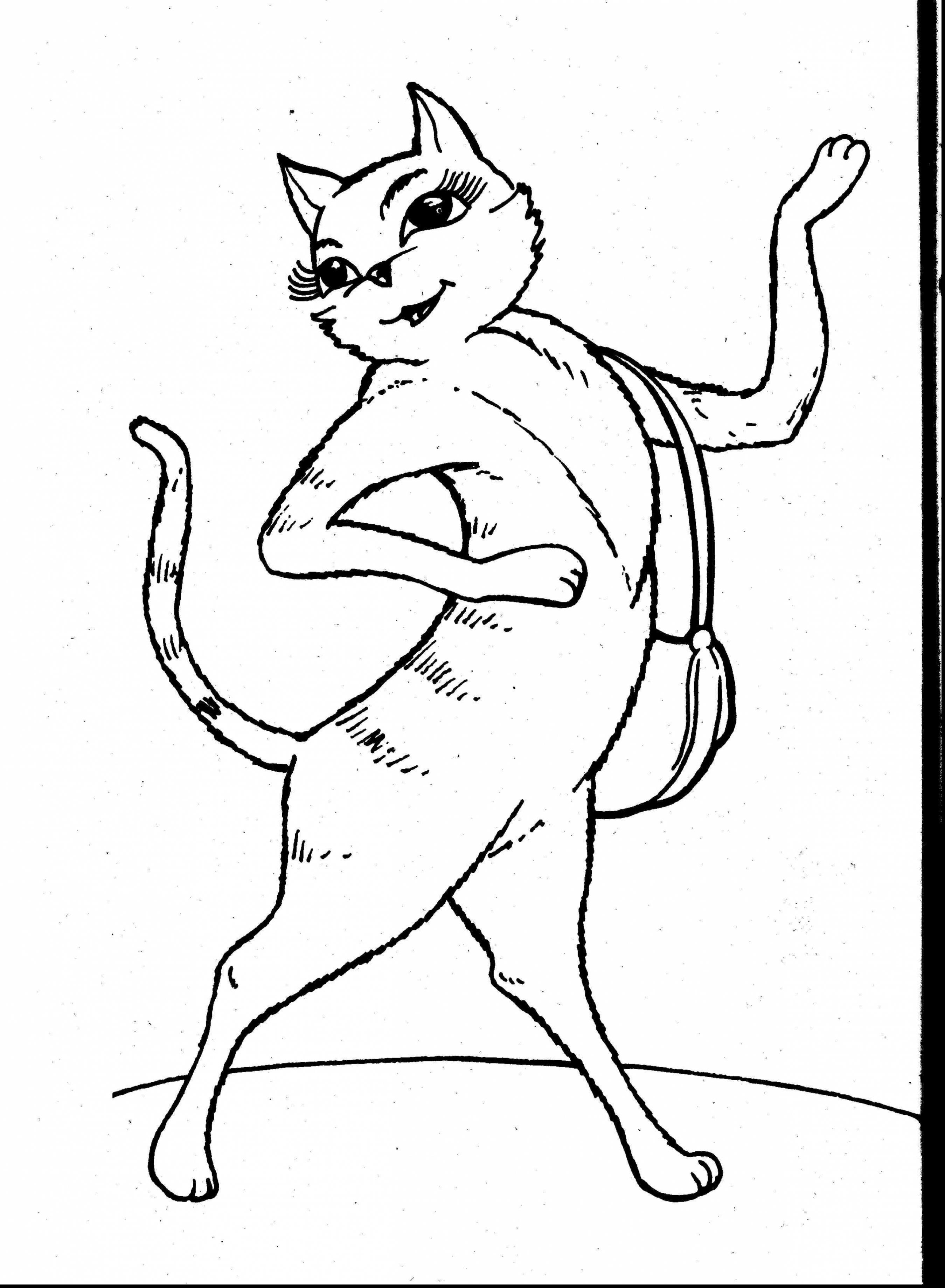 2699x3677 Cute Cat Coloring Pages Free Coloring