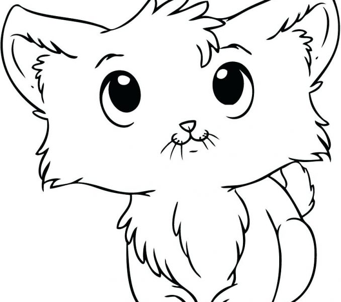 678x600 Cute Kitten Pictures To Print 18 Cute Cats Coloring Pages Cute Cat