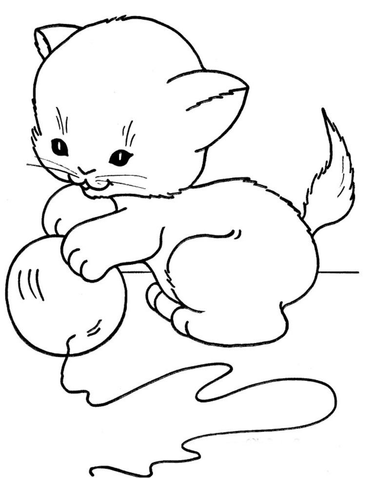763x981 Small Cat Funny Play Ball Cats Kids Net