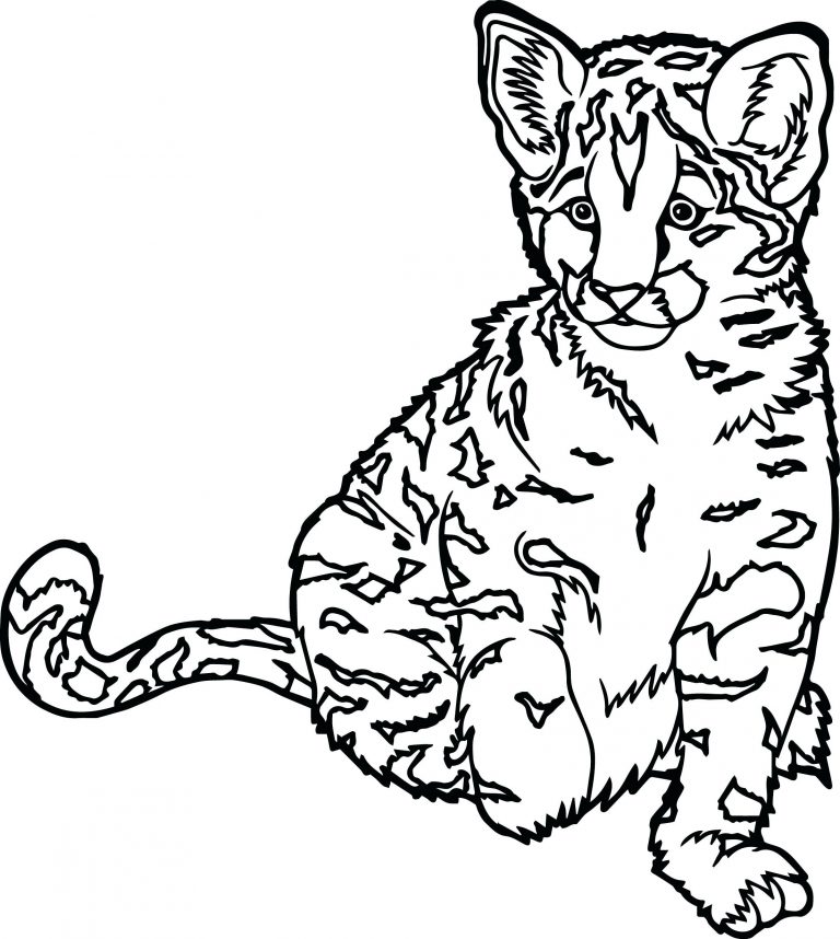 768x858 Tiger Cat Coloring Pages Best Of Wild Cats These Free Animal Are
