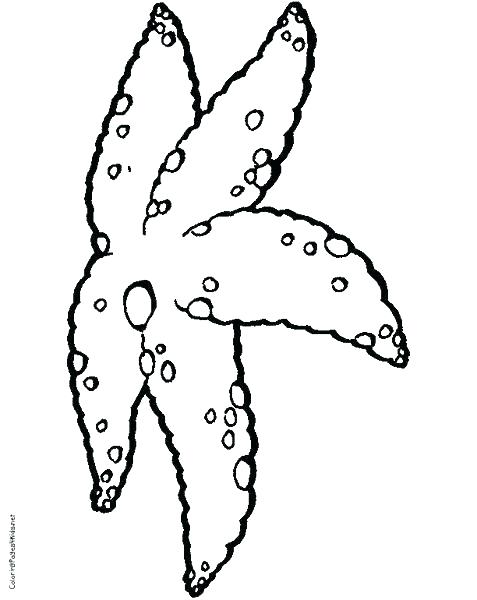 477x600 Small Coloring Pages Colouring Pages For Small Kids Small