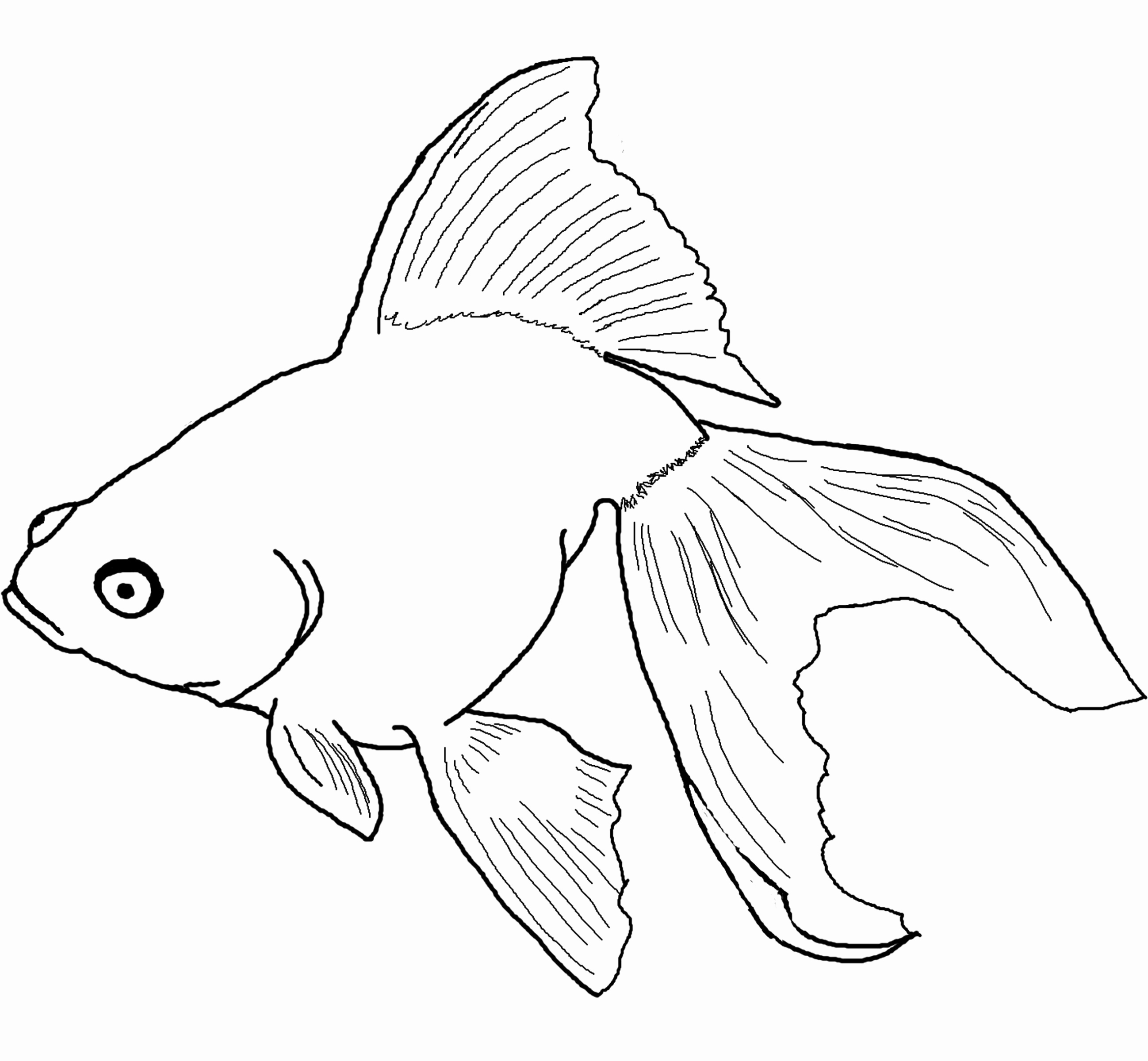 2596x2400 Pictures For Kids To Color Unique Small Fish Coloring Pages