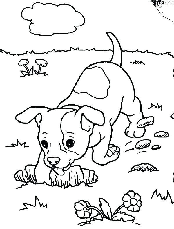600x790 Clifford The Small Red Puppy Coloring Pages Cute Dog Printable
