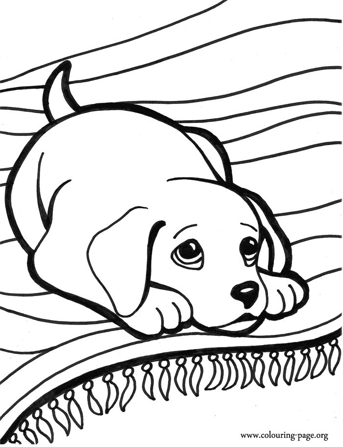 700x912 Coloring Pages Small Dogs Printable Puppy Coloring Pages Best 25