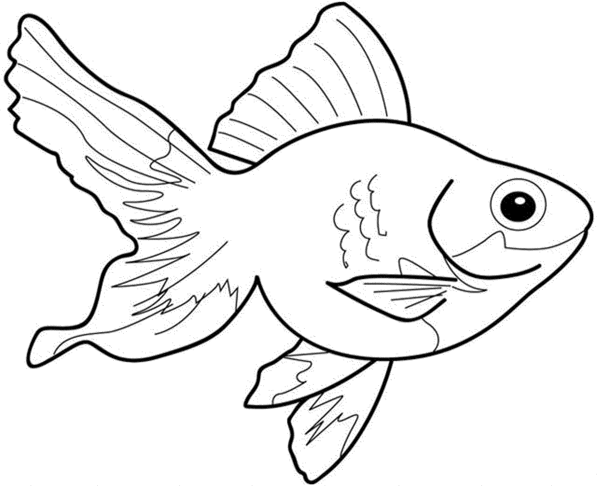 2000x1628 Goldfish Coloring Page Impressive 26 606