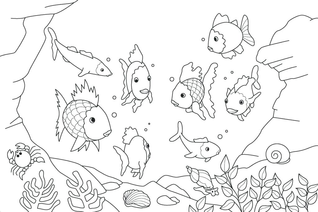 1024x683 Small Fish Coloring Pages For Kids Title Down By The Sea Small