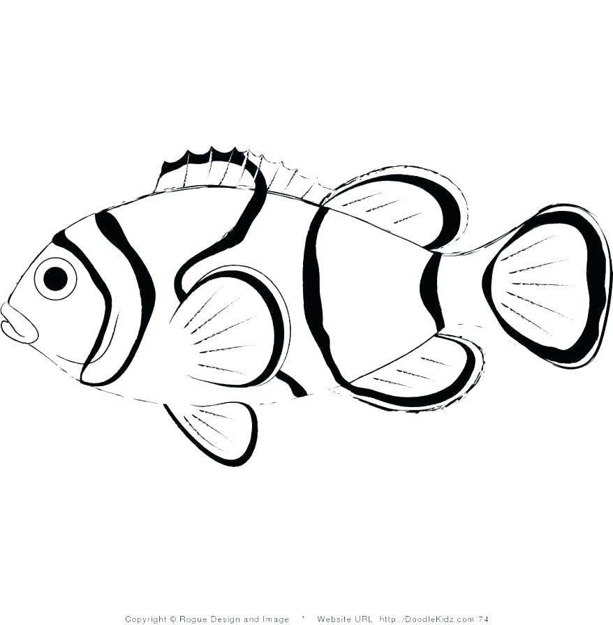 878x895 Small Fish Coloring Pages S S Small Fish Coloring Pages Printable