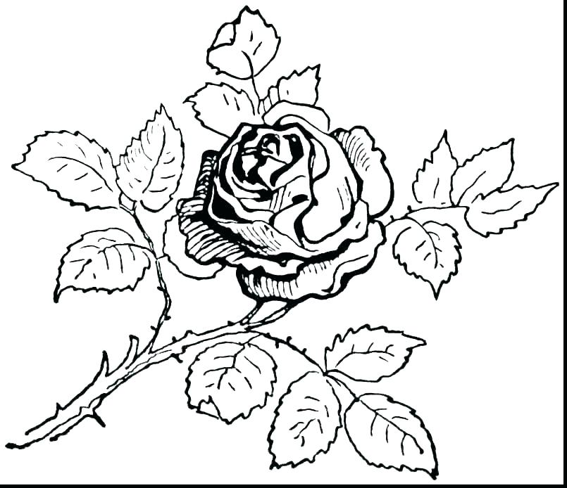 Small Flower Coloring Pages
