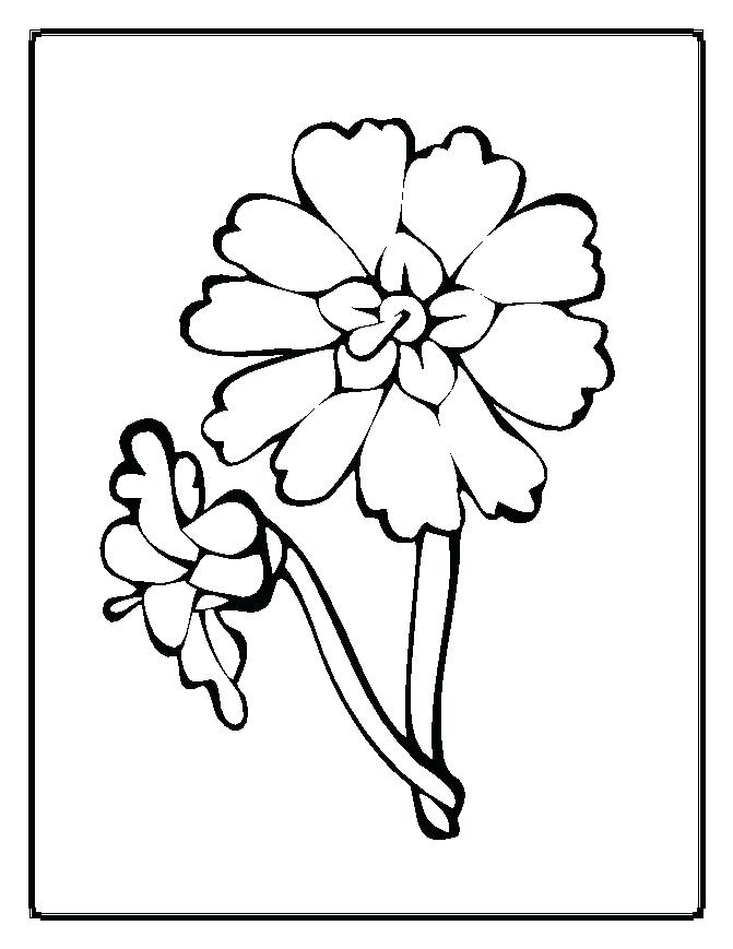 671x869 Flower Color Pages Flowers Coloring Pages Color Printing Flower