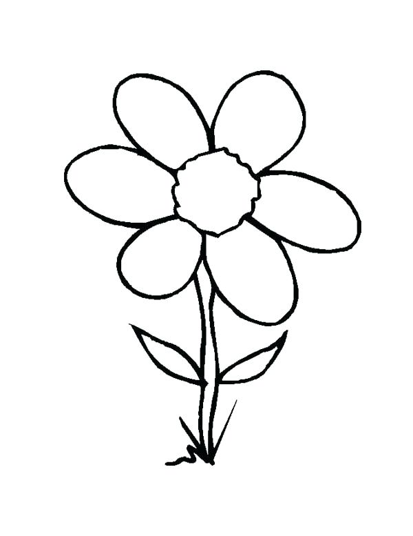600x777 Flowering Coloring Pages Luxury Ideas Small Flower Coloring Pages