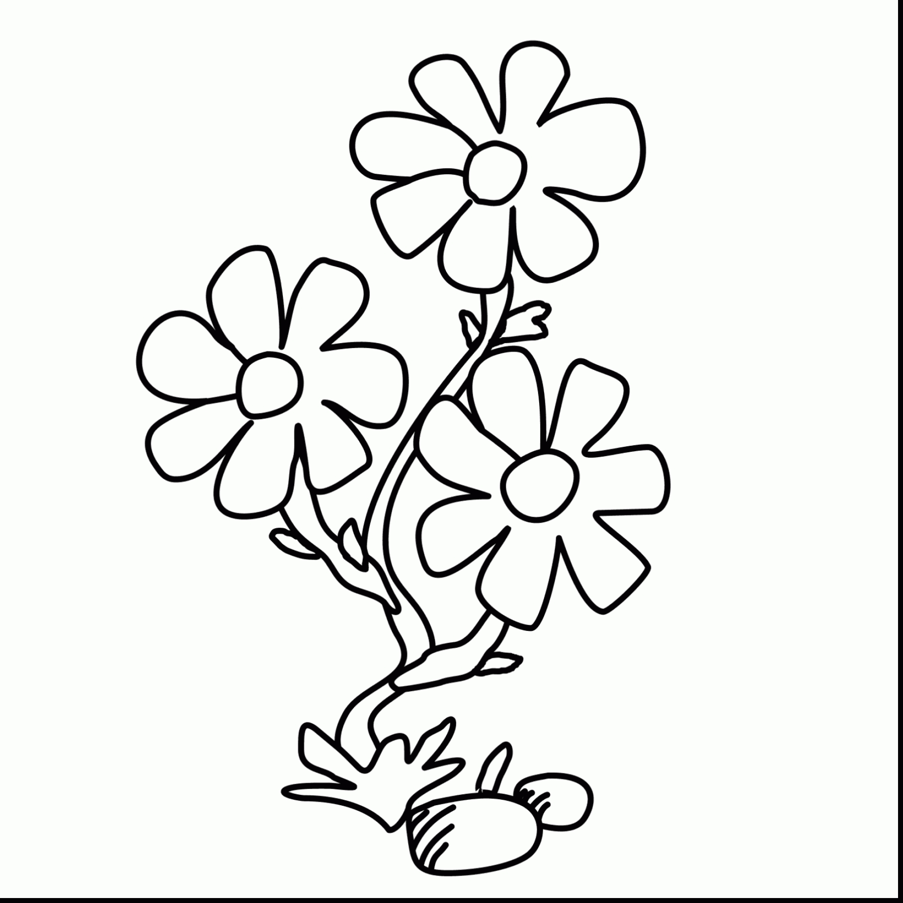 1819x1819 Unique Jasmine Flower Coloring Sheet Collection Printable