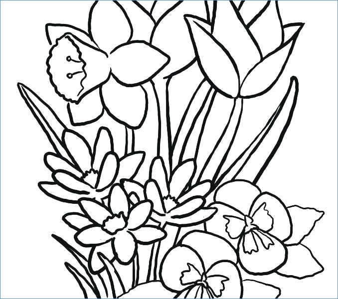 678x600 Cute Little Cat With Spring Flower Coloring Pages