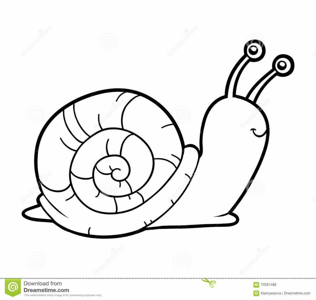 1024x972 Snail Coloring Page Book Stock Vector Illustration Of Get Bubbles