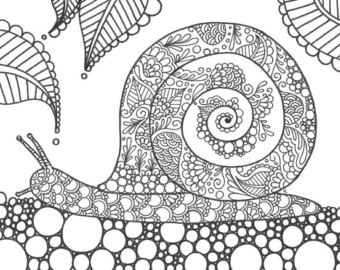 340x270 Snail Coloring Page Etsy