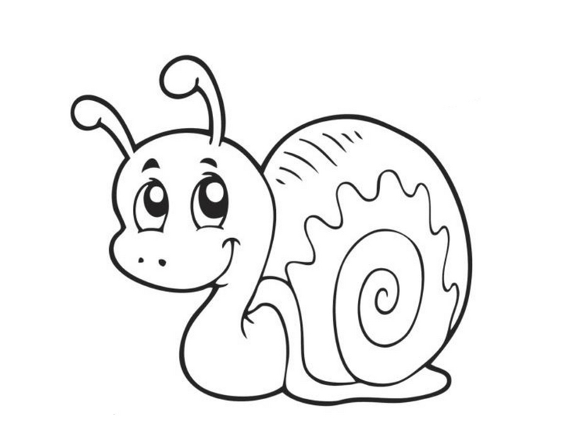 800x600 Snail Coloring Page Snail Coloring Pages Funnycrafts Ideas