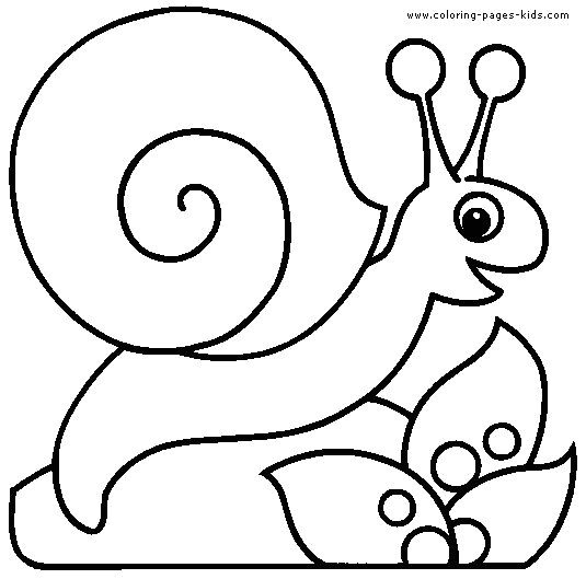 535x529 Inspirational Snail Coloring Pages Coloring Ws